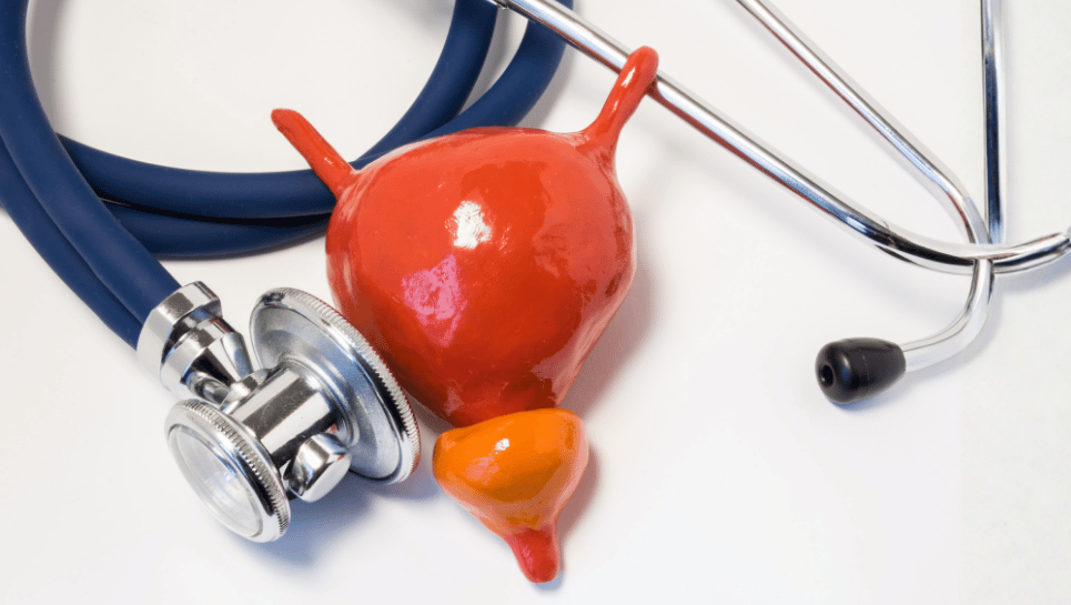 Prostat Orta Lob Büyümesi (Prostat Median Lob Hiperplazisi) 2 Prostat orta lob büyümesi (Median Lob Hiperplazisi)